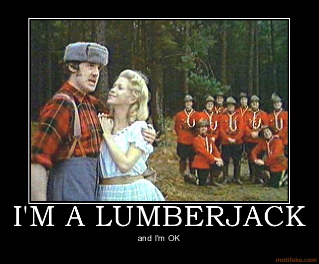 im-a-lumberjack-demotivational-poster-12